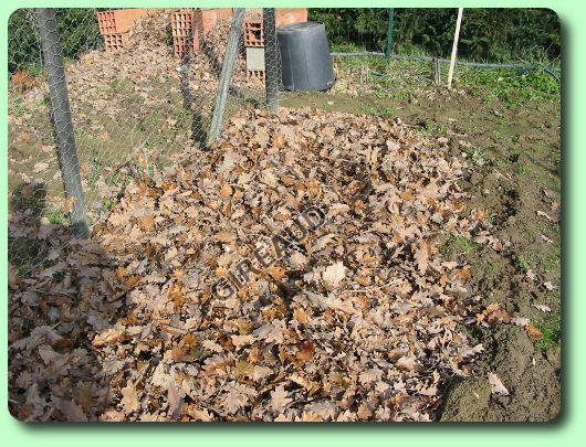 Matelas de feuilles