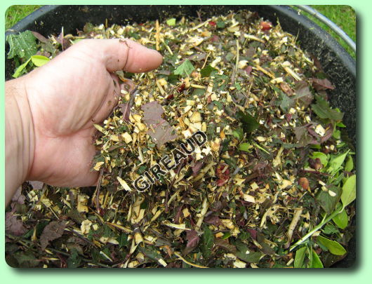 Végétaux broyés pour le compost