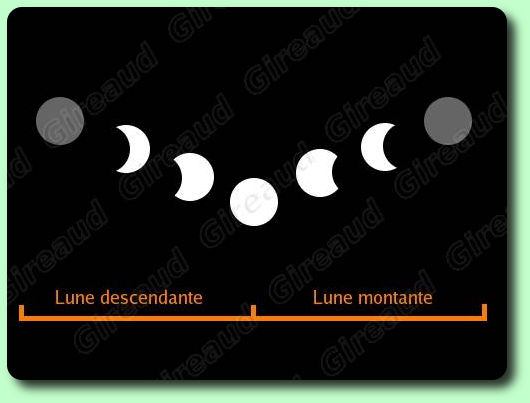 La lune montante et croissante