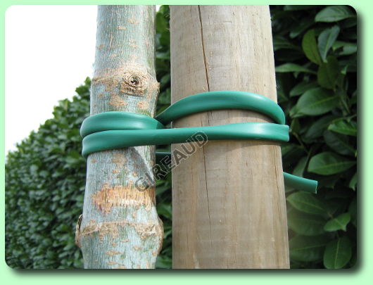 Ligature pour fixer un arbre